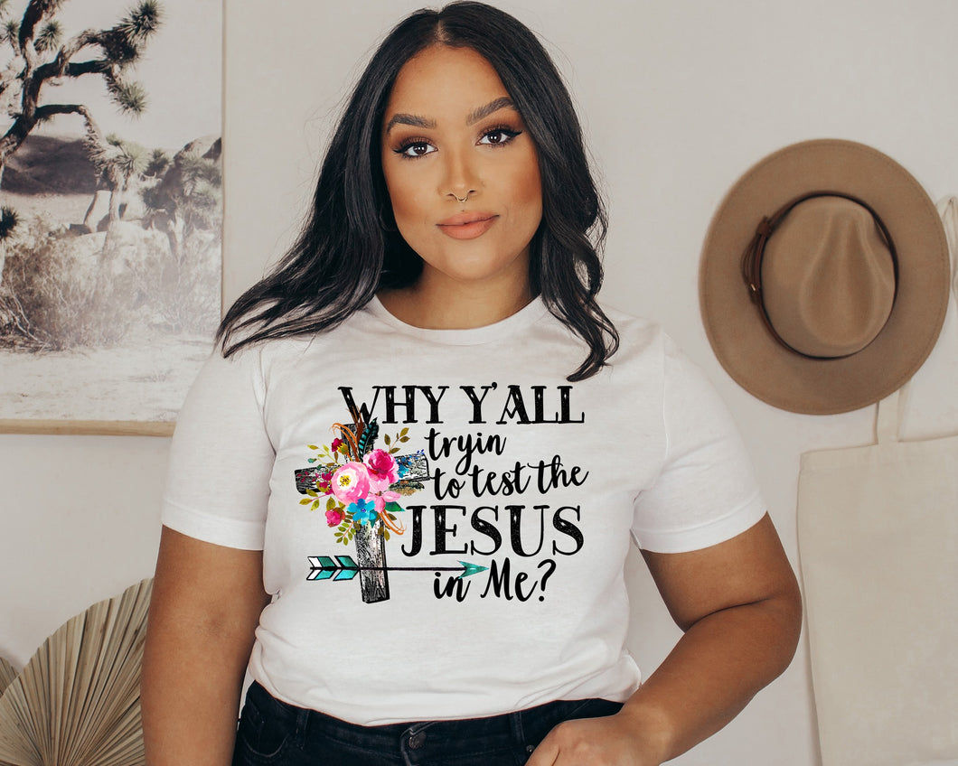 Test the Jesus in Me